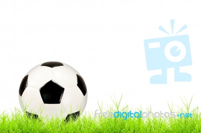 Soccer Ball On Green Grass Stock Photo