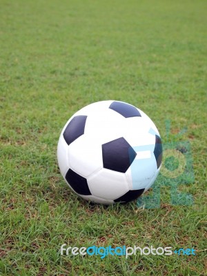 Soccer Ball On Green Grass Stock Photo