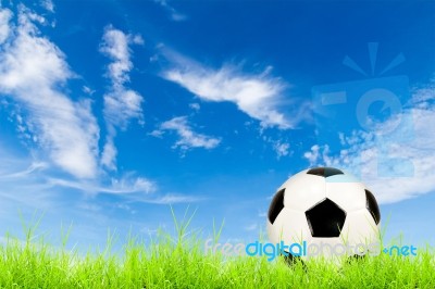 Soccer Ball On Green Grass With Blue Sky Stock Photo