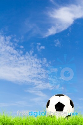 Soccer Ball On Green Grass With Blue Sky Background Stock Photo