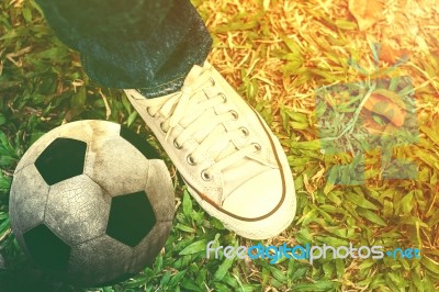 Soccer Ball On The Grass Stock Photo