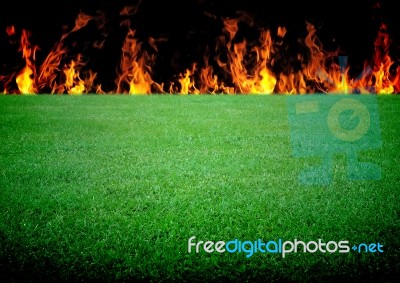 Soccer Field Stock Photo