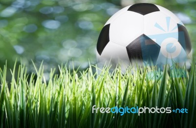 Soccer Football On Green Grass Field Stock Photo