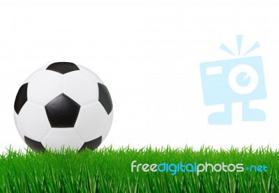 Soccer Football On Green Grass Field Stock Photo