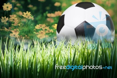 Soccer Football On Green Grass Field Stock Photo