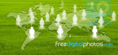 Social Network On Grass Field Stock Photo