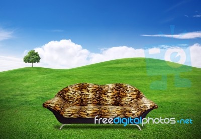 Sofa On Grass Field Stock Photo