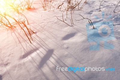 Solar Flare On Snowy Slopes In Winter Stock Photo