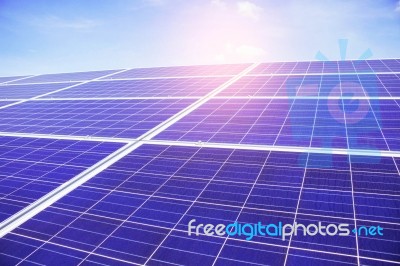 Solar Panels With The Sunlight Stock Photo