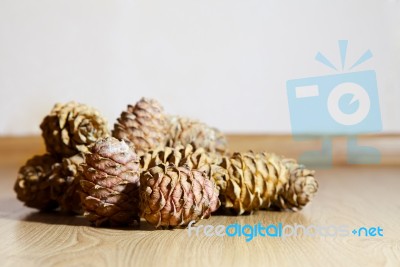 Some Cedar Cones Stock Photo