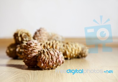 Some Cedar Cones Stock Photo