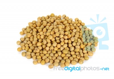 Soy Bean Isolated On The White Background Stock Photo