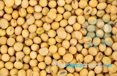 Soy Bean Pattern As Background Stock Photo