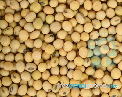 Soy Bean Pattern As Background Texture Stock Photo