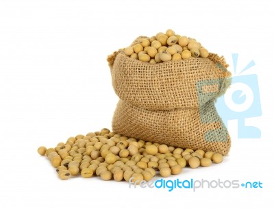 Soy Bean With Sack Isolated Stock Photo