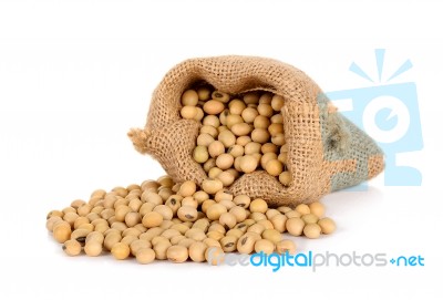 Soy Bean With Sack Isolated On White Background Stock Photo