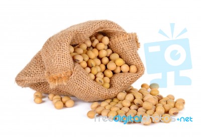 Soy Bean With Sack Isolated On White Background Stock Photo