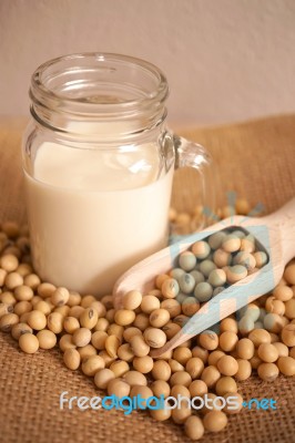 Soy Milk And Soy Beans Stock Photo