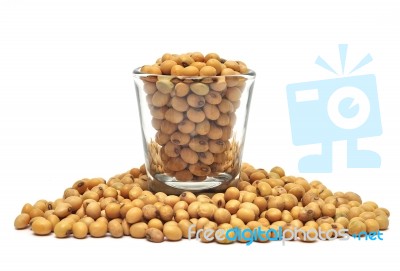 Soybean In Glass Isolated On White Background Stock Photo