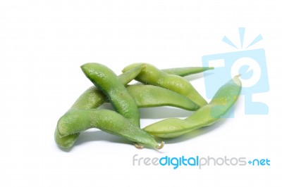 Soybean White Background Stock Photo