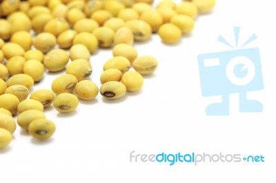 Soybeans Stock Photo