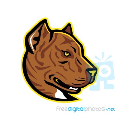 Spanish Bulldog Or Spanish Alano Mascot Stock Image