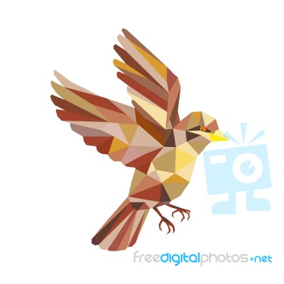 Sparrow Flying Low Polygon Stock Image