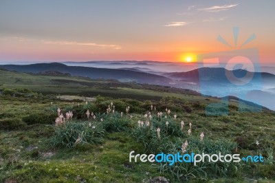 Spectacular Sunset At The End Of Summe Stock Photo