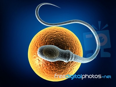 Sperm Stock Image