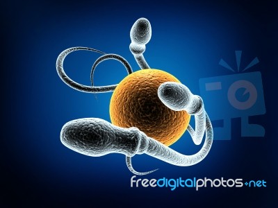 Sperm Stock Image