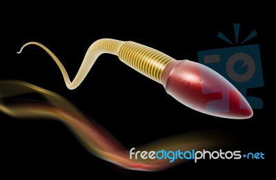 Sperm Stock Image