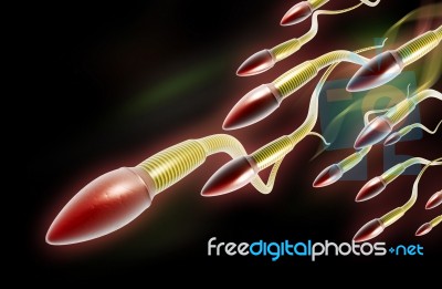 Sperms Stock Image