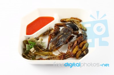 Spicy Herb Fried Insect Wings Stock Photo