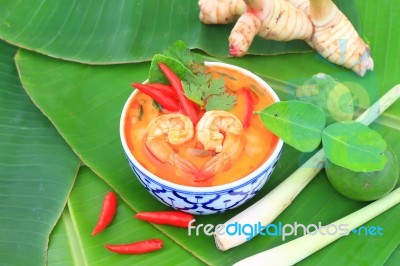 Spicy Seafood Soup   Stock Photo