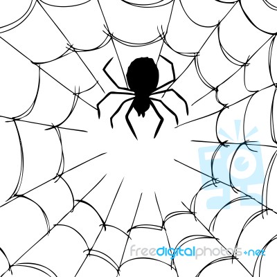 Spider And Web Stock Image