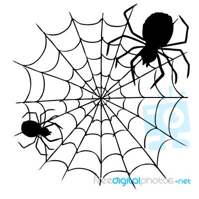 Spider And Web Stock Image