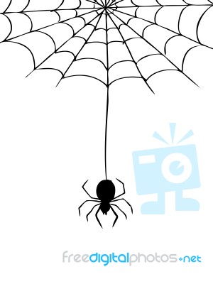 Spider And Web Stock Image