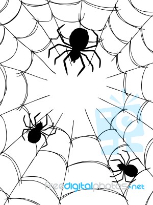 Spider And Web Stock Image