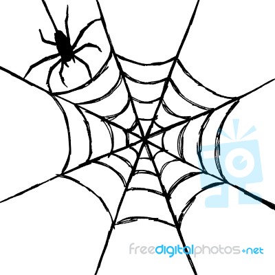 Spider And Web Stock Image