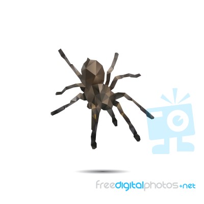 Spider Of Triangles Stock Image