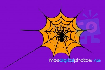 Spider On Cobweb Stock Image