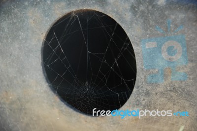 Spider Web Stock Photo