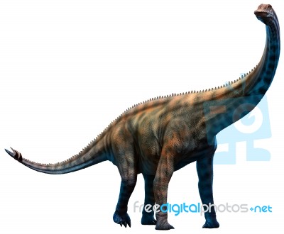 Spinophorosaurus Stock Image