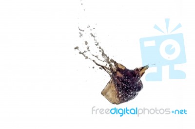 Splash Stock Photo