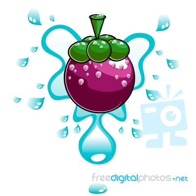 Splashing Water on Mangosteen Stock Image