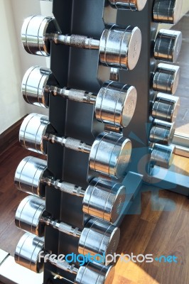 Sports Weight  Dumbbells Set  In Healthy Care Fitness Room  Use Stock Photo