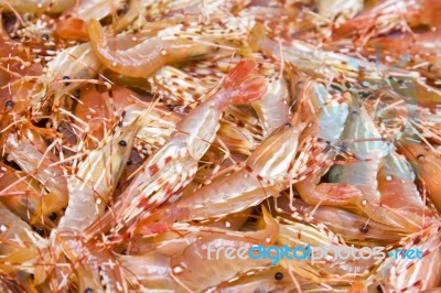 Spot Prawns Background Stock Photo