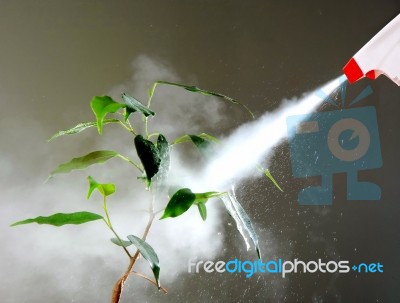 Spray Stock Photo