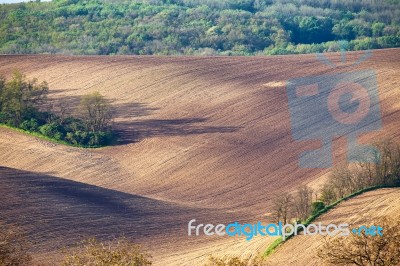 Spring Arable Land. Spring Wavy Agriculture Scene. Rural Landsca… Stock Photo