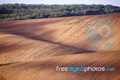 Spring Arable Land. Spring Wavy Agriculture Scene. Rural Landsca… Stock Photo